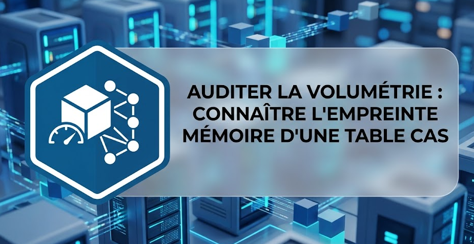 Illustration : Auditer la volumétrie : connaître l'empreinte mémoire d'une table CAS