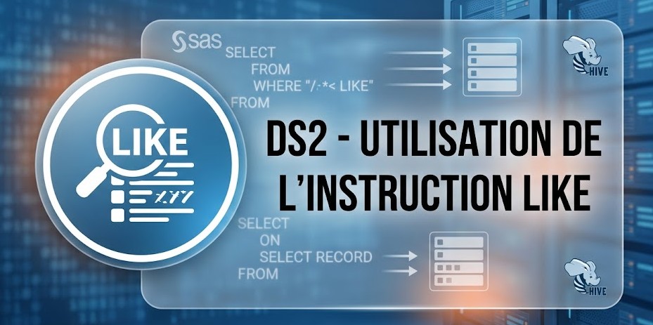 Illustration : DS2 - Utilisation de l'instruction LIKE