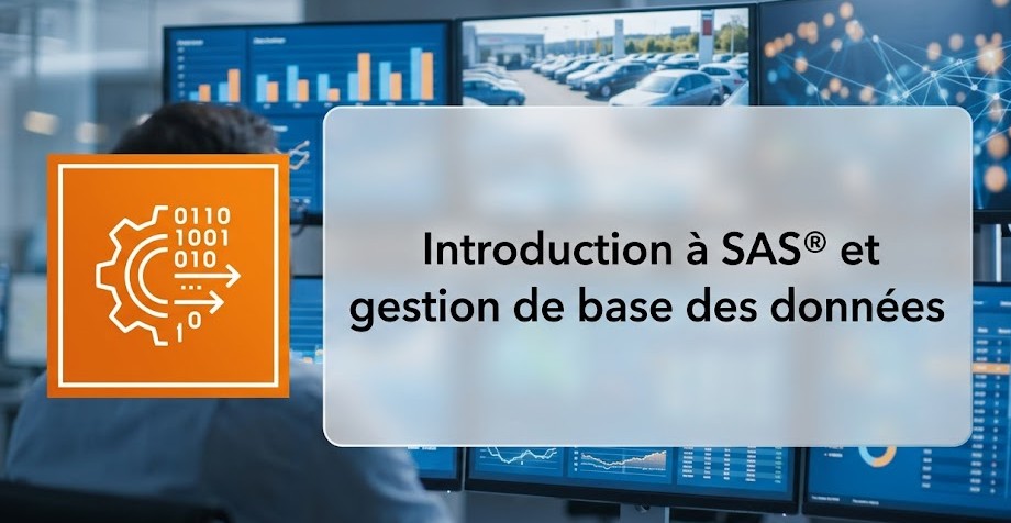 Illustration : Introduction à SAS® et gestion de base des données