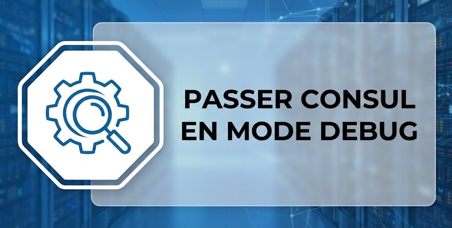 Illustration : Passer consul en mode DEBUG