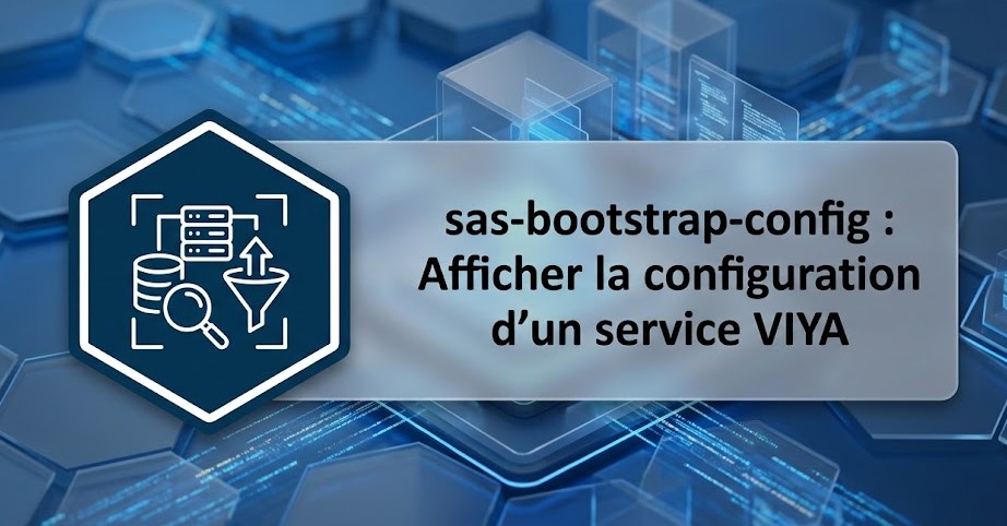 Illustration : sas-bootstrap-config : Afficher la configuration d'un service VIYA