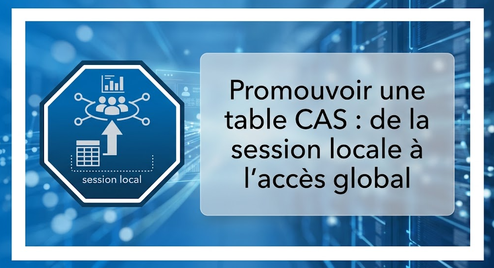 Illustration : Promouvoir une table CAS : de la session locale à l'accès global