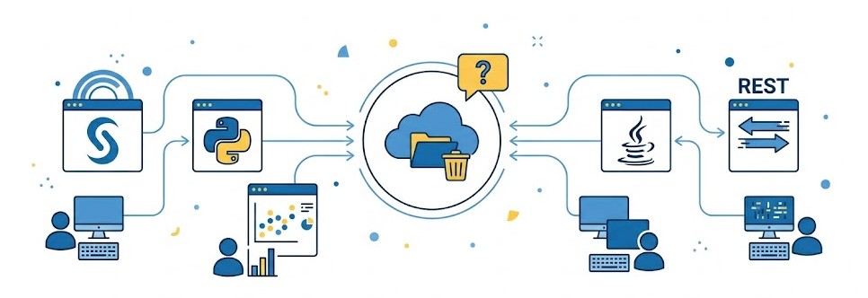 Quelles sont les interfaces de programmation supportées pour l'exécution de cette commande ?
