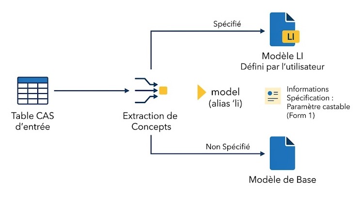 Schéma : Comment fournir un modèle d'extraction de concepts personnalisé (fichier LI) ?
