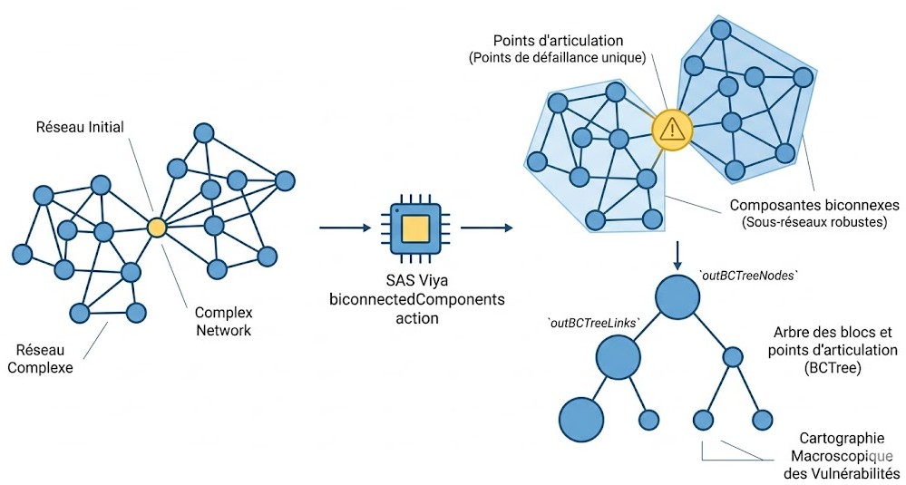 Schéma : Comment identifier les points de vulnérabilité et les sous-réseaux critiques dans votre infrastructure avec l'action biconnectedComponents ?