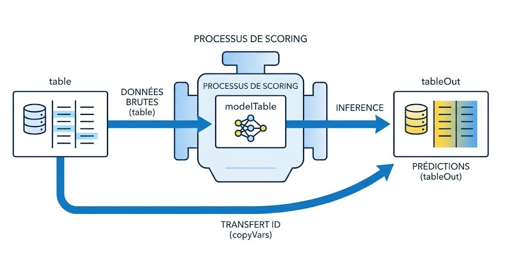 Schéma : Comment maitriser précisément le flux de données en entrée et en sortie lors du scoring de modèles profonds ?