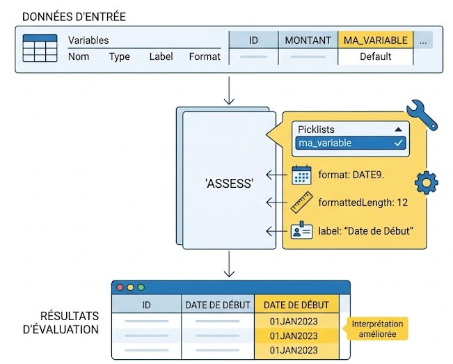 Schéma : Comment personnaliser les attributs des variables d'entrée dans 'assess'?