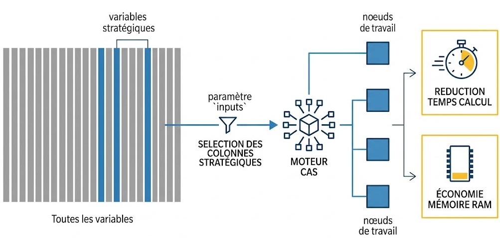 Schéma : Optimisation extrême : comment forcer SAS Viya à ne cibler que vos colonnes stratégiques ?