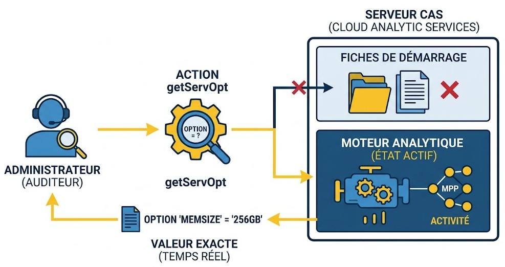 Schéma : Pourquoi l'action getServOpt est-elle l'outil ultime pour l'audit de votre serveur SAS Viya ?