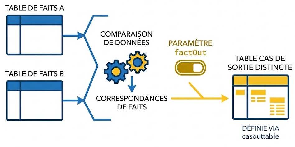 Schéma : Quelle option permet de capturer les informations sur les correspondances de faits dans une table CAS distincte ?